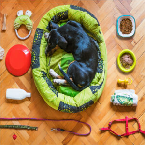 Pet Supplies